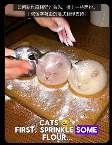 博主用AI制作“麻薯猫”X上走红 视频播放量超100万-DeepHubX