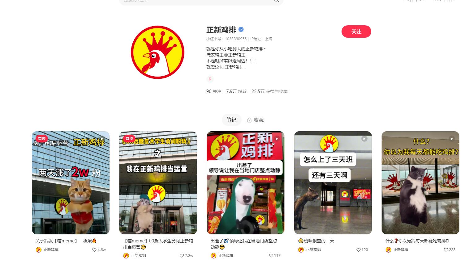 “猫meme”引爆新媒体：揭秘企业如何在小红书和B站快速吸粉！-DeepHubX