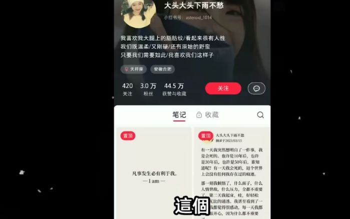利用 ChatGPT+Canva 批量制作小红书正念语录账号，实现快速粉丝增长-DeepHubX