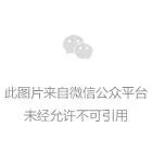 智谱Realtime、4V、Air新模型发布；Vidu2.0上线 10秒生成短片；xAI上线Grok网页版-DeepHubX